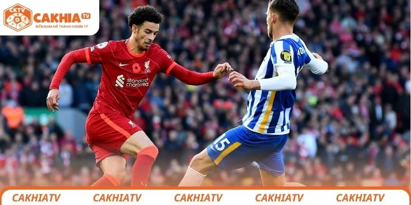 Dự đoán kết quả chung cuộc trận đấu giữa Liverpool vs Brighton